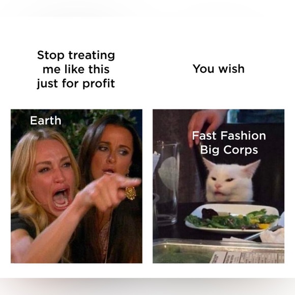 Meet your Posher, Climate Action Fashion! - Picture 4 of 4